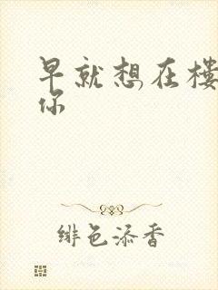 早就想在楼梯要你