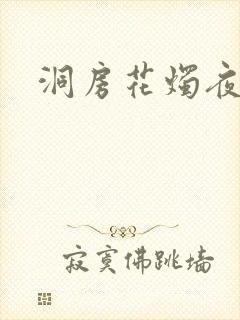 洞房花烛夜小说