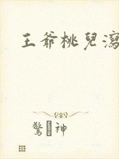 王爷桃儿泻了封面