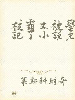 校霸又被学神标记了小说免费阅读封面