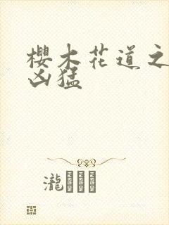 樱木花道之重生凶猛