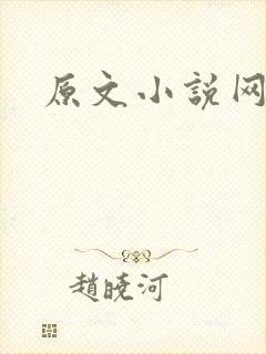 原文小说网封面