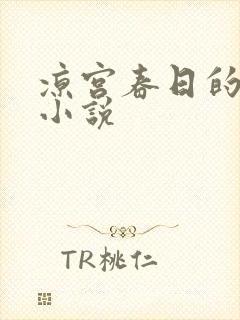 凉宫春日的忧郁小说封面