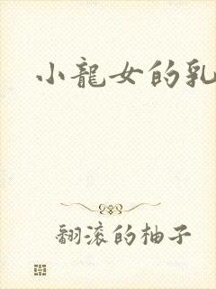 小龙女的乳头