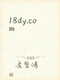 18dy.com