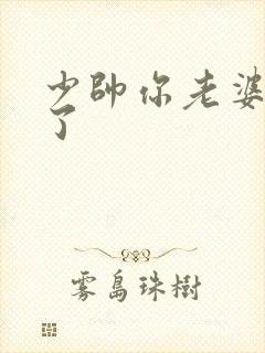 少帅你老婆又跑了封面