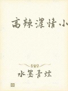 高辣浓情小说