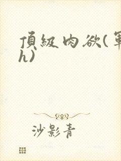 顶级肉欲(军高h)封面