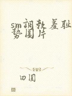 sm调教羞耻姿势图片封面