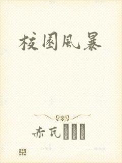 校园风暴
