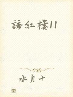 诱红楼11封面