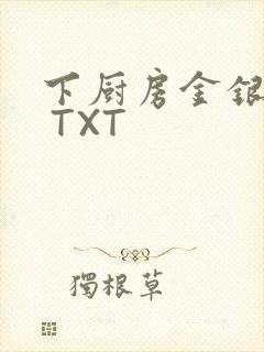 下厨房金银花露 TXT