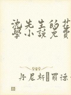 沈先生的花式教学小说免费