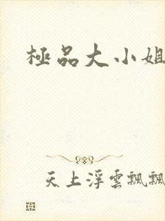 极品大小姐封面