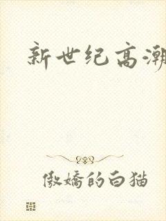 新世纪高潮战队