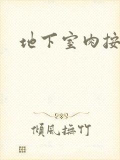 地下室肉按摩椅