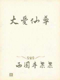 大爱仙尊