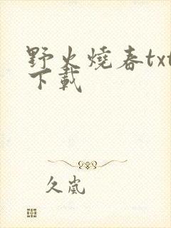 野火烧春txt下载封面