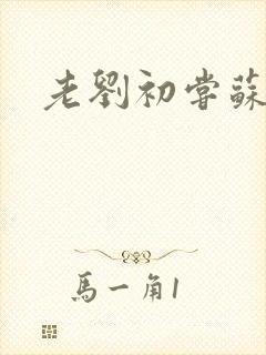 老刘初尝苏荷媳