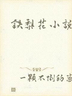 铁梨花小说