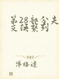 第28部分夫妇交换系列封面