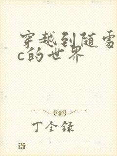 穿越到随处可以c的世界