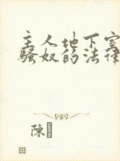 主人地下室惩罚骚奴的法律后果封面