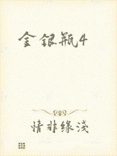 金银瓶4封面