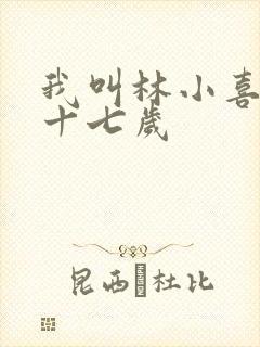 我叫林小喜今年十七岁