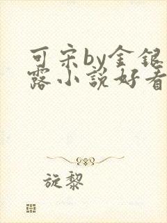 可宋by金银花露小说好看吗封面