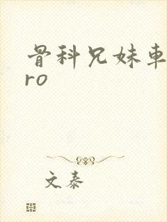 骨科兄妹车多pro