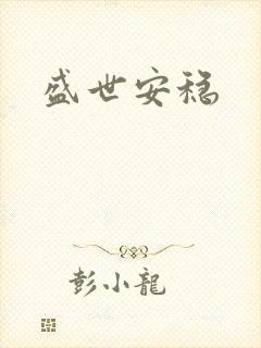 盛世安稳封面
