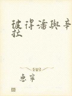 彼得潘与辛德瑞拉封面