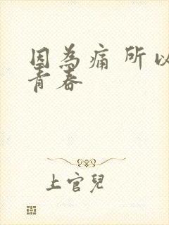 因为痛 所以叫青春