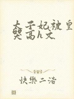 太子妃被皇上c哭高h文