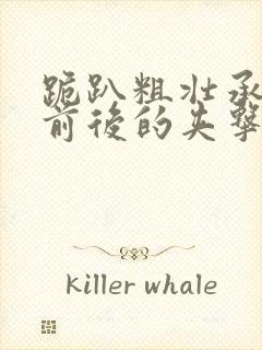 跪趴粗壮承受着前后的夹击