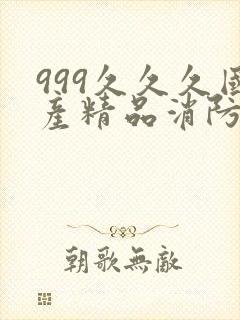 999久久久国产精品消防器材封面