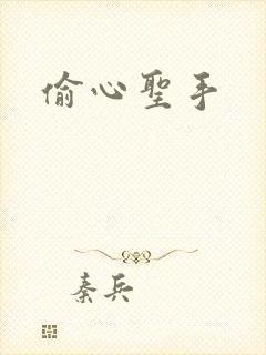 偷心圣手封面