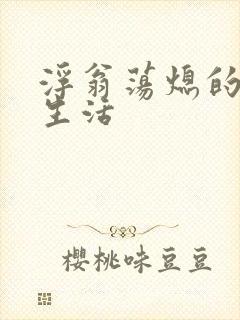 浮翁荡熄的幸福生活