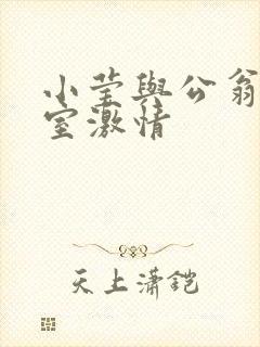 小莹与公翁办公室激情