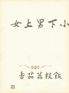 女上男下小说