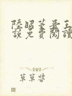 陆昭菱晋王的小说免费阅读