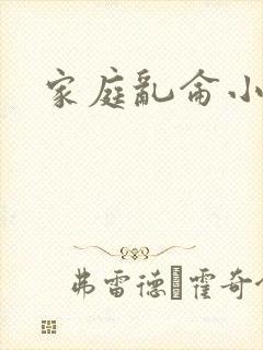 家庭乱仑小说封面