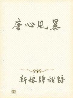 唐心风暴封面