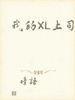 我的XL上司