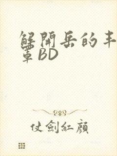 解开岳的丰满奶罩BD