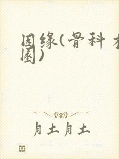 因缘(骨科 校园)封面