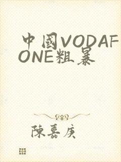 中国VODAFONE粗暴封面