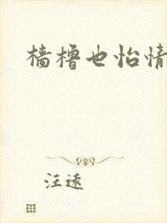 樯橹也怡情封面