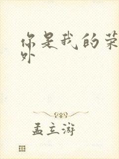 你是我的荣耀番外